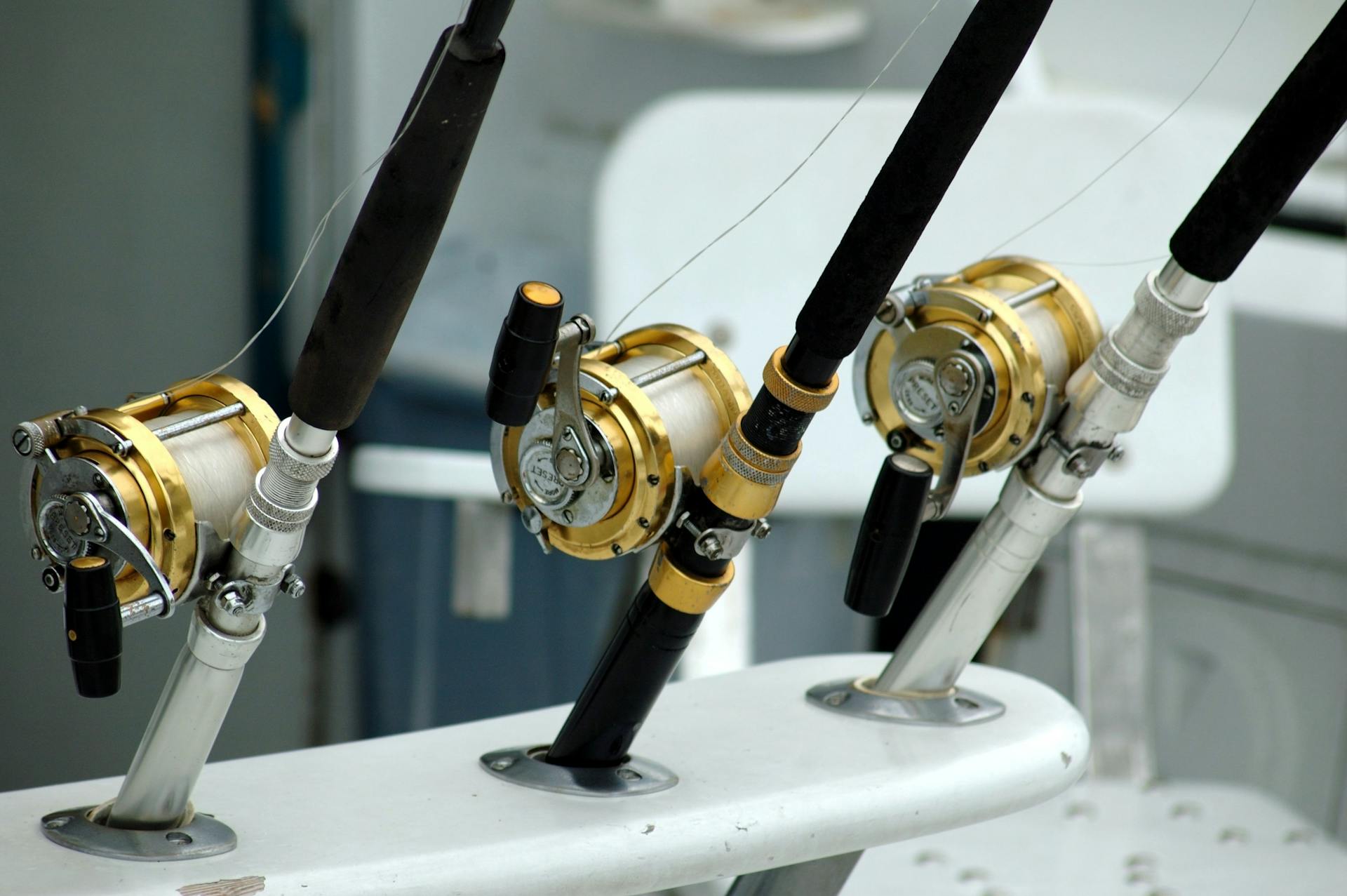 Enjoy sport fishing in Costa Rica